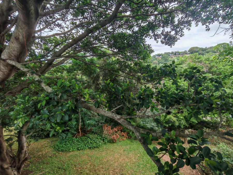 3 Bedroom Property for Sale in Westville Central KwaZulu-Natal