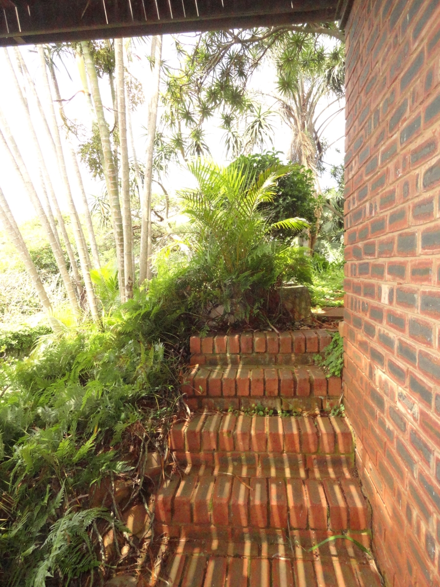 To Let 1 Bedroom Property for Rent in Durban North KwaZulu-Natal