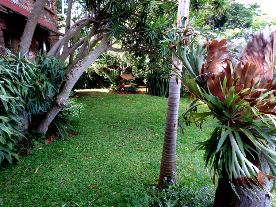 To Let 1 Bedroom Property for Rent in Durban North KwaZulu-Natal