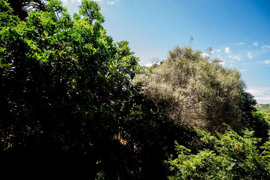 3 Bedroom Property for Sale in Seaward Estate KwaZulu-Natal