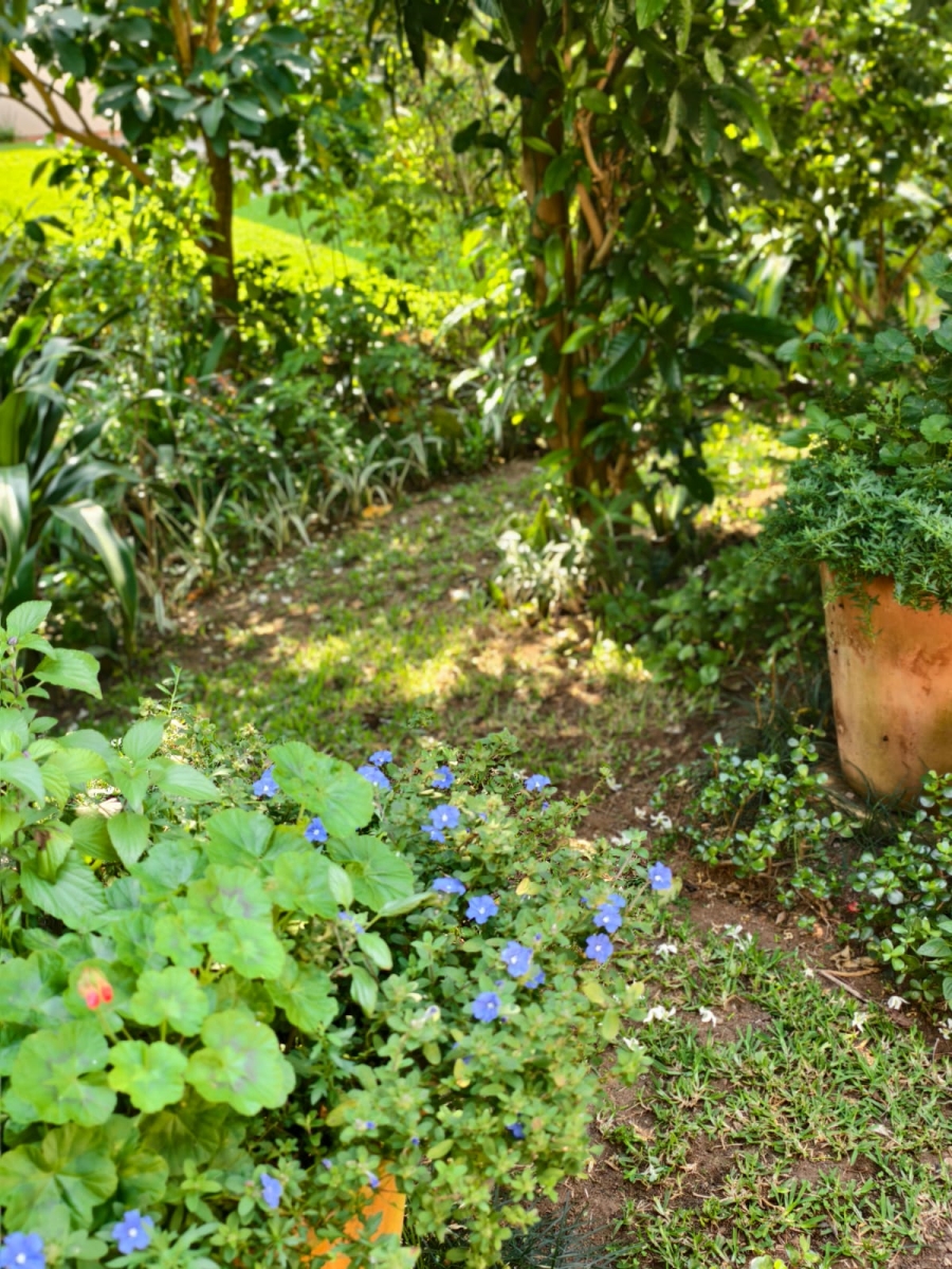 3 Bedroom Property for Sale in Shortens Country Estate KwaZulu-Natal