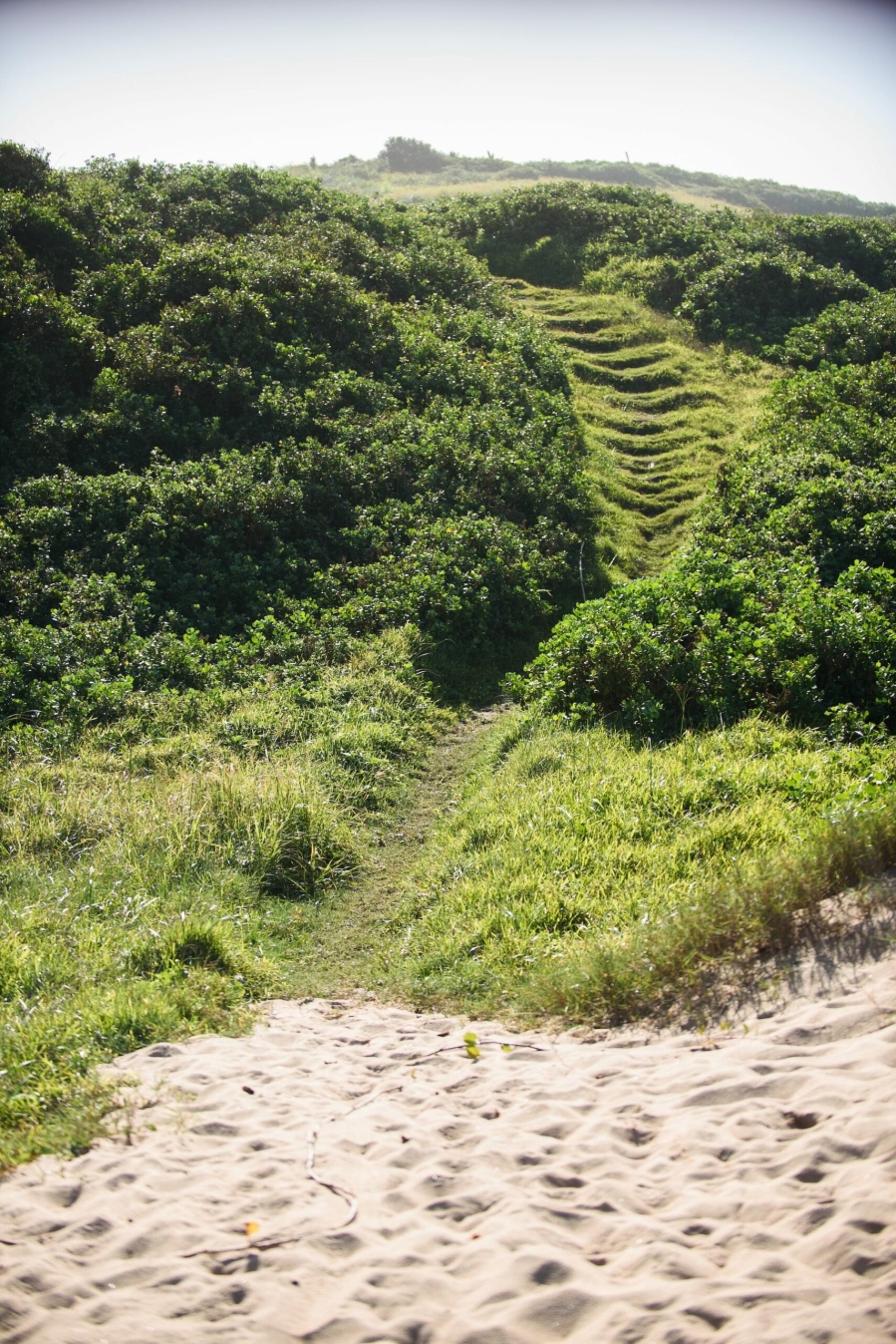 0 Bedroom Property for Sale in Seaton Estate KwaZulu-Natal