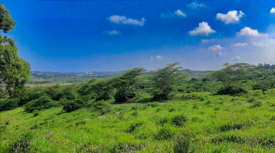 0 Bedroom Property for Sale in New Salt Rock City KwaZulu-Natal