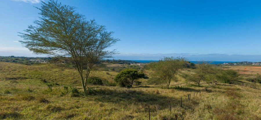 0 Bedroom Property for Sale in New Salt Rock City KwaZulu-Natal