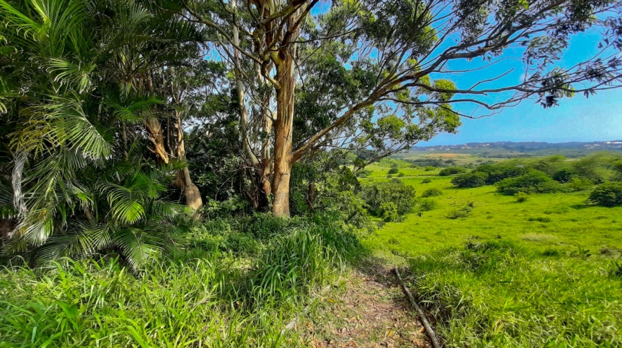 0 Bedroom Property for Sale in New Salt Rock City KwaZulu-Natal