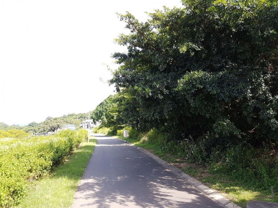 0 Bedroom Property for Sale in New Salt Rock City KwaZulu-Natal