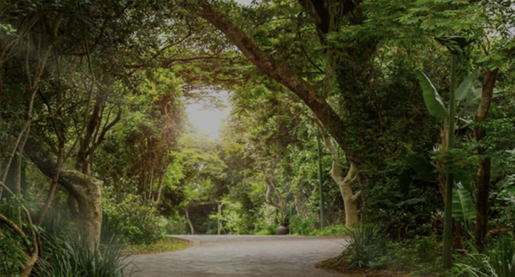 4 Bedroom Property for Sale in Zimbali Coastal Resort Estate KwaZulu-Natal