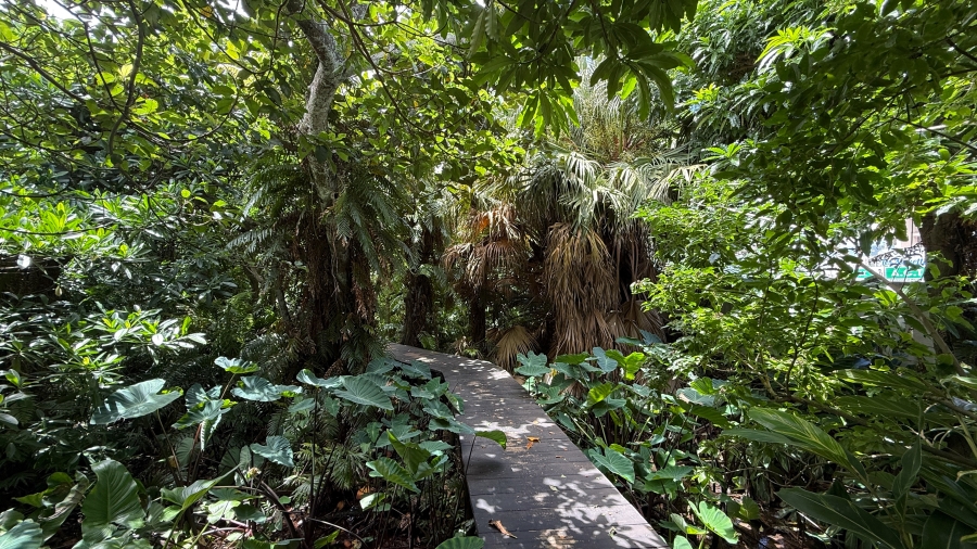 3 Bedroom Property for Sale in Willard Beach KwaZulu-Natal