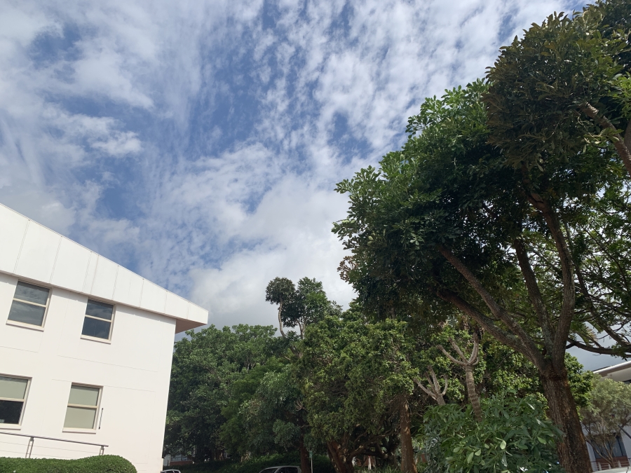 To Let commercial Property for Rent in La Lucia KwaZulu-Natal