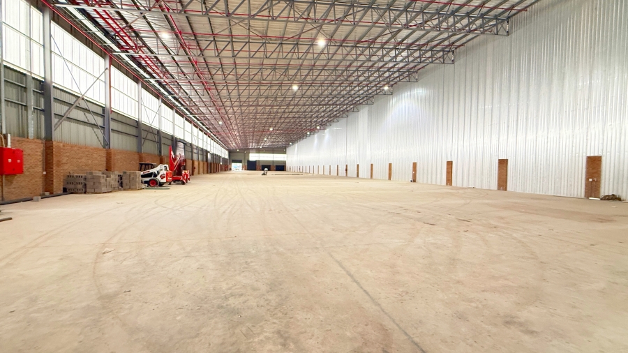 To Let commercial Property for Rent in Springfield KwaZulu-Natal