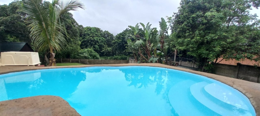 To Let 3 Bedroom Property for Rent in Arboretum KwaZulu-Natal