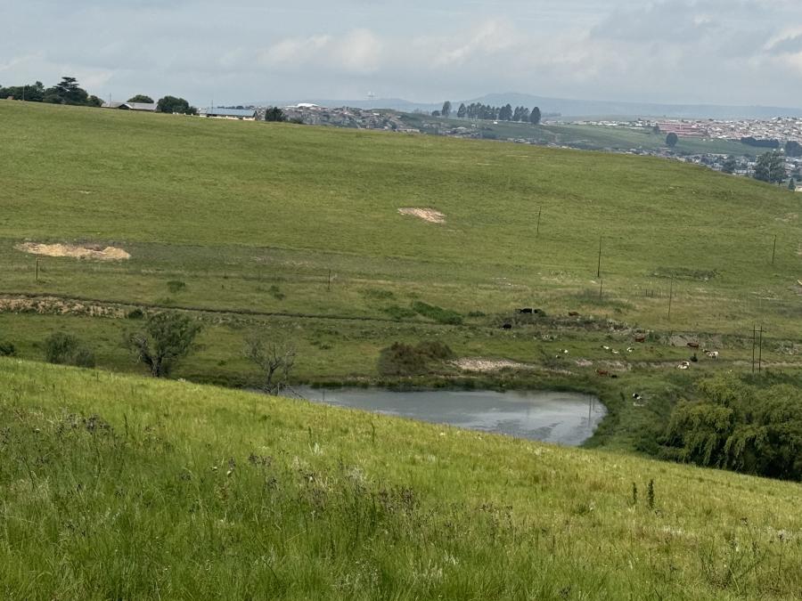 5 Bedroom Property for Sale in Mooi River Rural KwaZulu-Natal