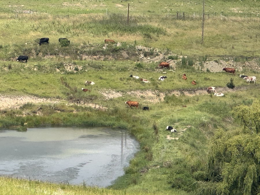 5 Bedroom Property for Sale in Mooi River Rural KwaZulu-Natal