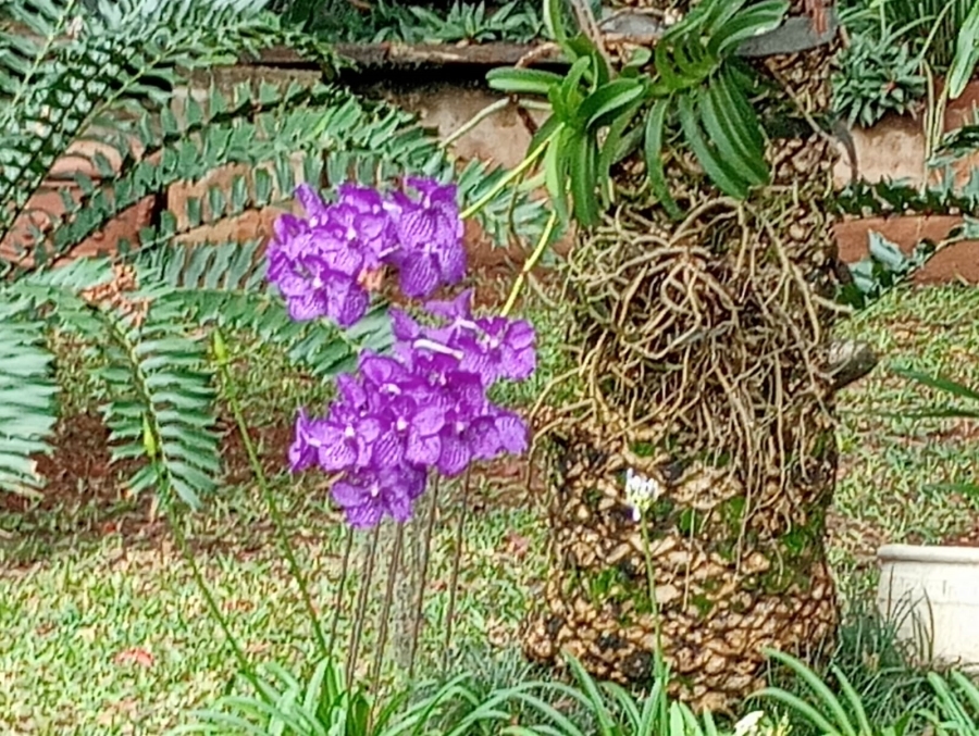 4 Bedroom Property for Sale in Mtunzini KwaZulu-Natal