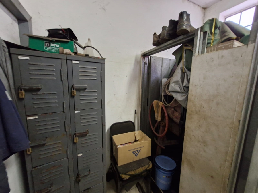 To Let commercial Property for Rent in Queensmead Industrial KwaZulu-Natal