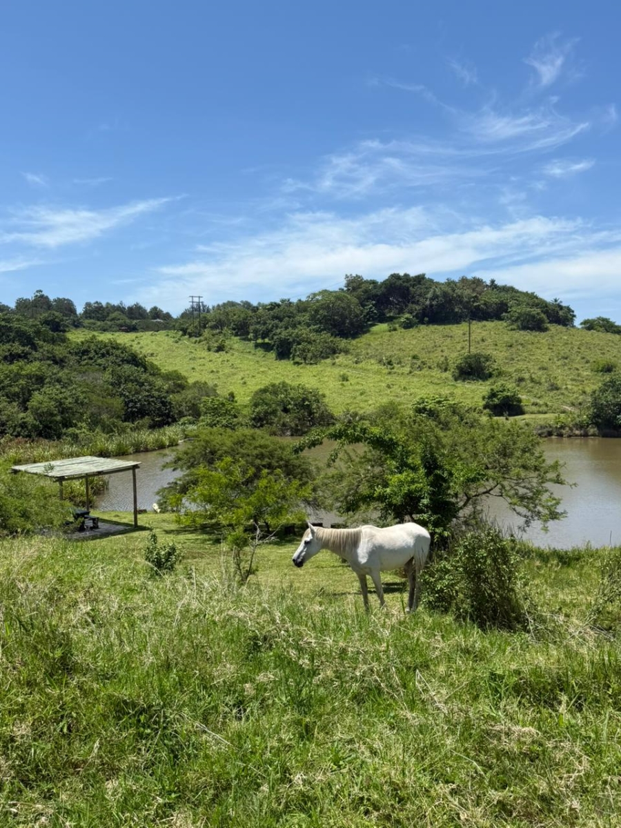 0 Bedroom Property for Sale in Salt Rock KwaZulu-Natal