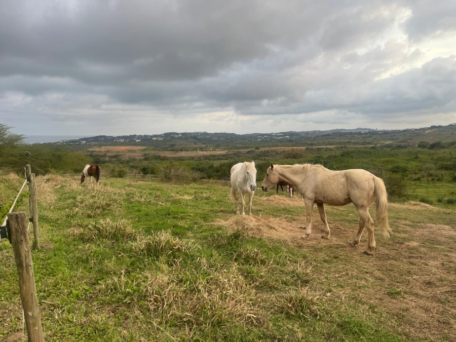 0 Bedroom Property for Sale in Salt Rock KwaZulu-Natal