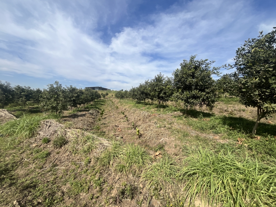 0 Bedroom Property for Sale in Fairview Estates KwaZulu-Natal