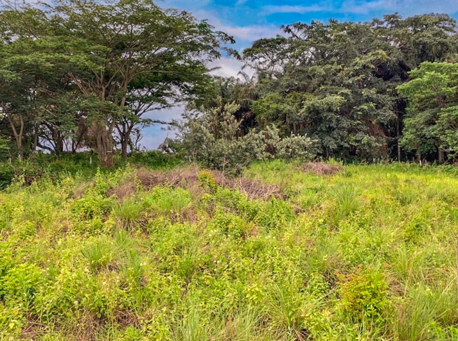 0 Bedroom Property for Sale in Seaton Estate KwaZulu-Natal