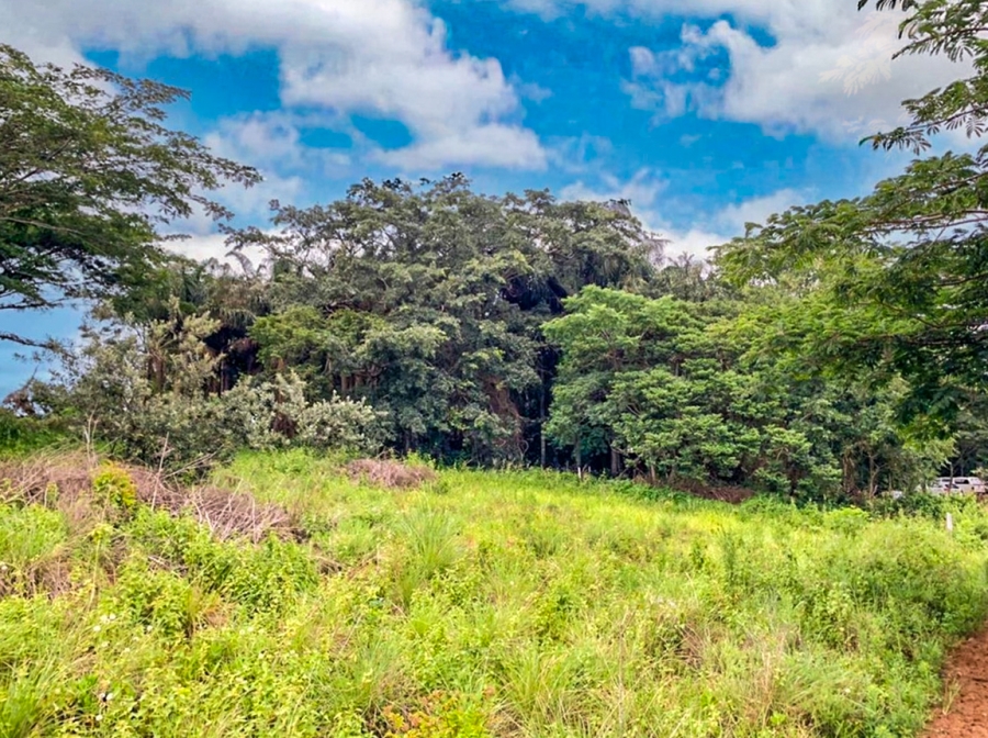 0 Bedroom Property for Sale in Seaton Estate KwaZulu-Natal