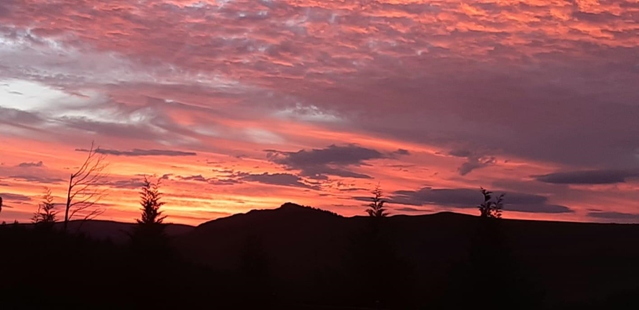 0 Bedroom Property for Sale in Bulwer Rural KwaZulu-Natal