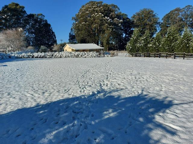 0 Bedroom Property for Sale in Bulwer Rural KwaZulu-Natal