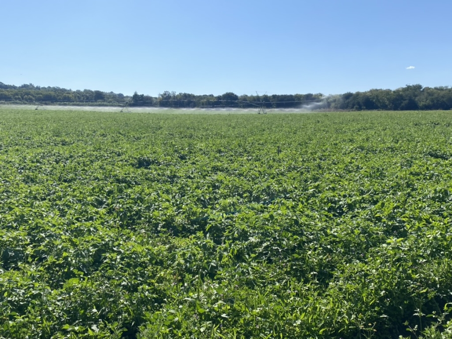 6 Bedroom Property for Sale in Weenen KwaZulu-Natal