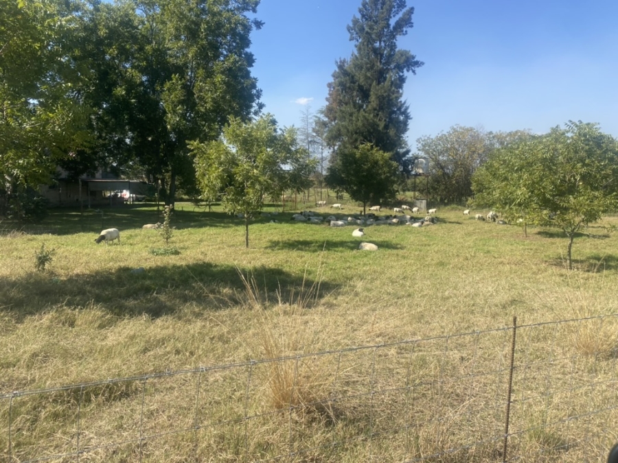 6 Bedroom Property for Sale in Weenen KwaZulu-Natal