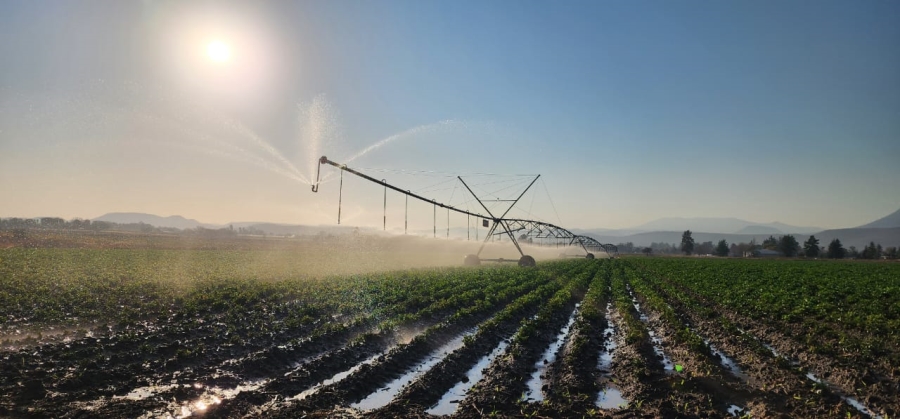 6 Bedroom Property for Sale in Weenen KwaZulu-Natal