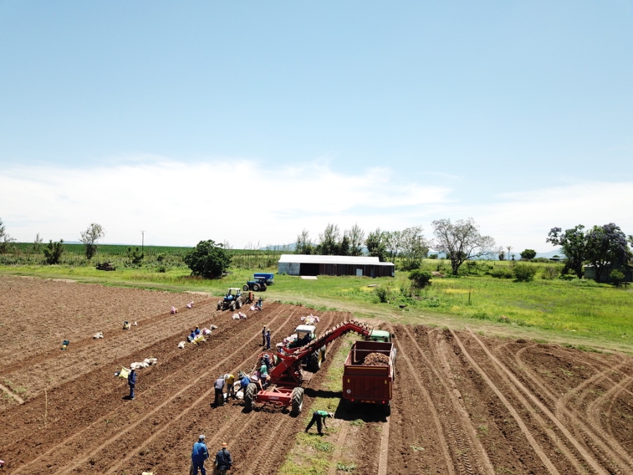 8 Bedroom Property for Sale in Weenen KwaZulu-Natal