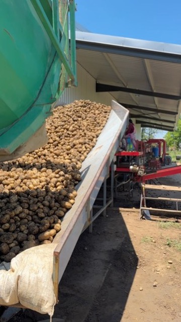 8 Bedroom Property for Sale in Weenen KwaZulu-Natal