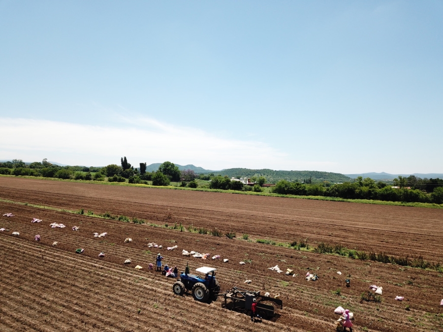 8 Bedroom Property for Sale in Weenen KwaZulu-Natal