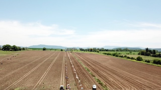 8 Bedroom Property for Sale in Weenen KwaZulu-Natal