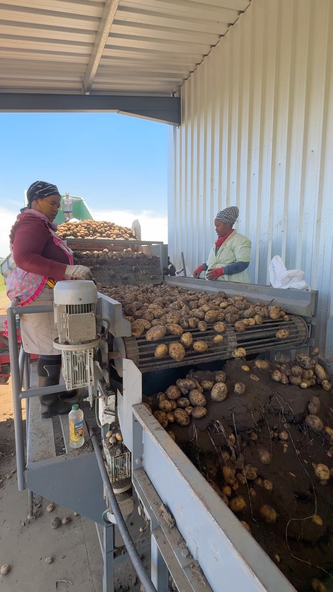 8 Bedroom Property for Sale in Weenen KwaZulu-Natal