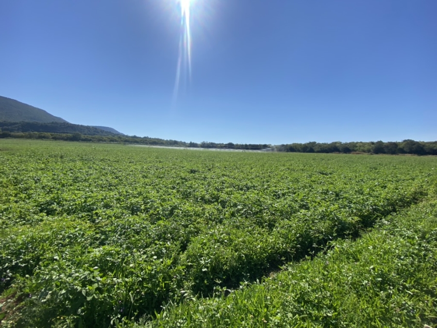 8 Bedroom Property for Sale in Weenen KwaZulu-Natal