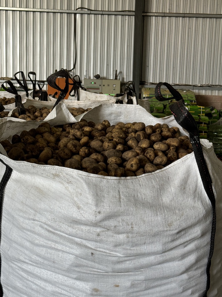 8 Bedroom Property for Sale in Weenen KwaZulu-Natal