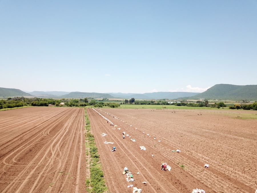 8 Bedroom Property for Sale in Weenen KwaZulu-Natal