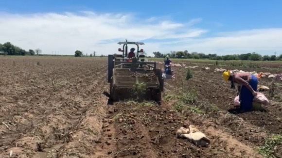 8 Bedroom Property for Sale in Weenen KwaZulu-Natal