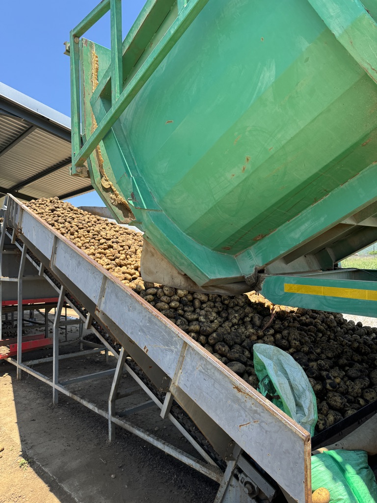 8 Bedroom Property for Sale in Weenen KwaZulu-Natal