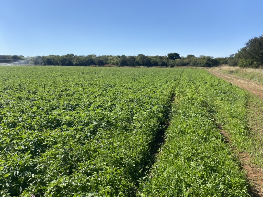 8 Bedroom Property for Sale in Weenen KwaZulu-Natal