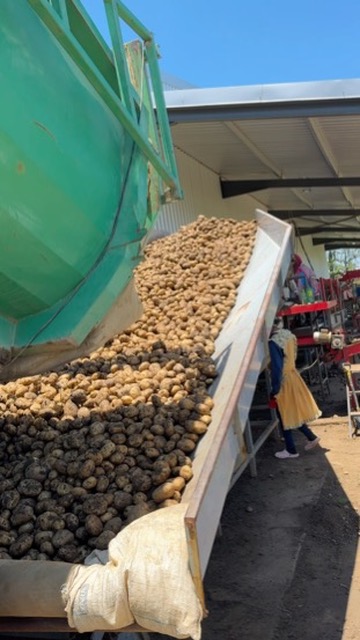 8 Bedroom Property for Sale in Weenen KwaZulu-Natal