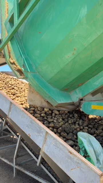 8 Bedroom Property for Sale in Weenen KwaZulu-Natal