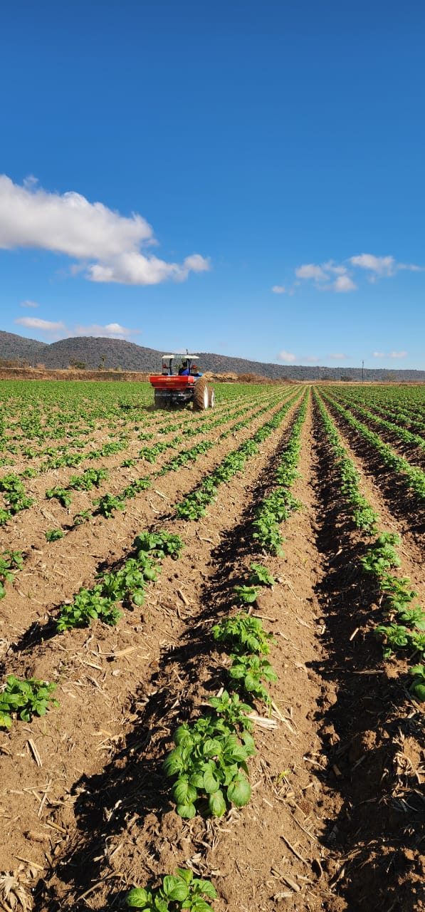 8 Bedroom Property for Sale in Weenen KwaZulu-Natal