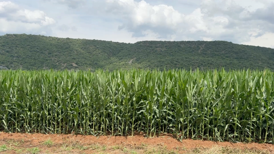 3 Bedroom Property for Sale in Weenen KwaZulu-Natal