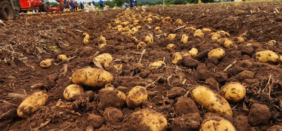 0 Bedroom Property for Sale in Weenen KwaZulu-Natal