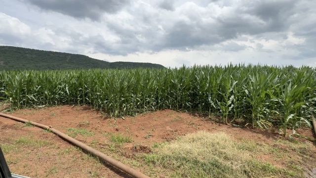 0 Bedroom Property for Sale in Weenen KwaZulu-Natal