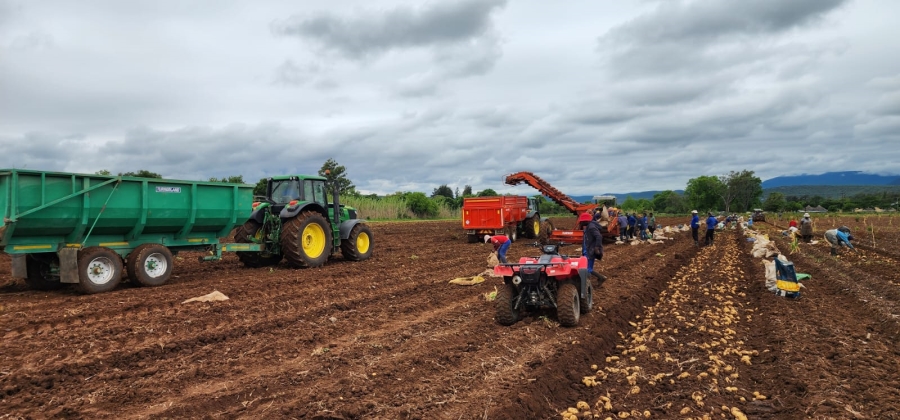 0 Bedroom Property for Sale in Weenen KwaZulu-Natal