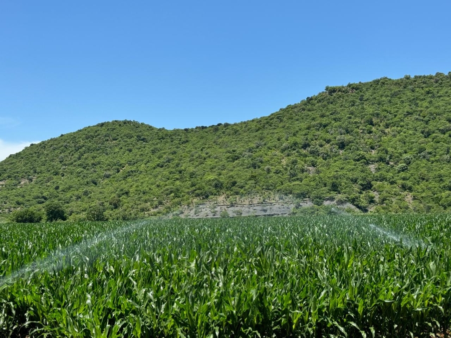 0 Bedroom Property for Sale in Weenen KwaZulu-Natal