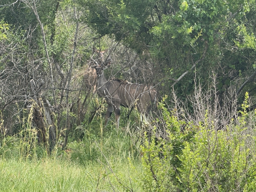 0 Bedroom Property for Sale in Weenen KwaZulu-Natal