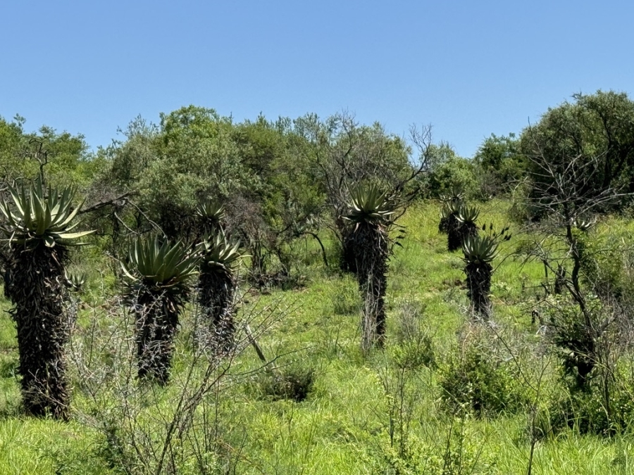 0 Bedroom Property for Sale in Weenen KwaZulu-Natal